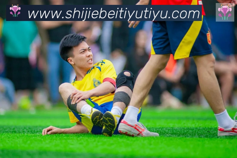 FIFA世界杯买球官方网站荣誉
