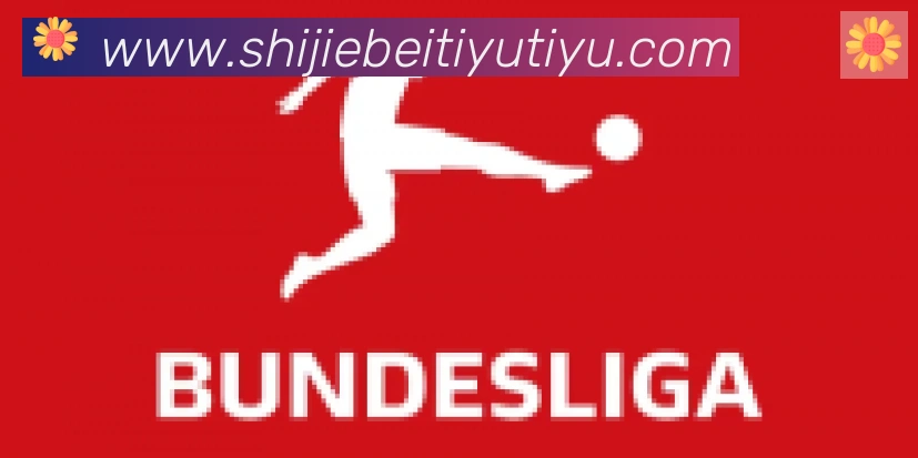 FIFA世界杯买球官方网站合作伙伴