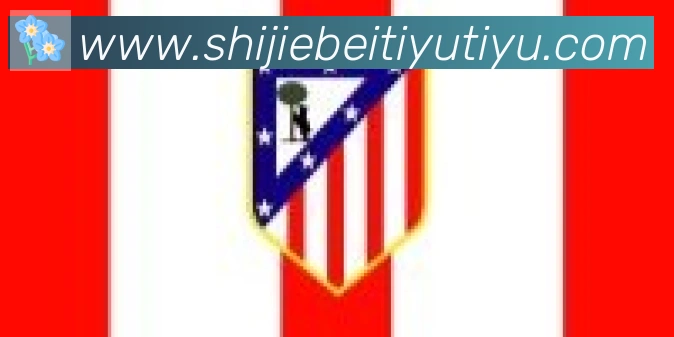 FIFA世界杯买球官方网站合作伙伴